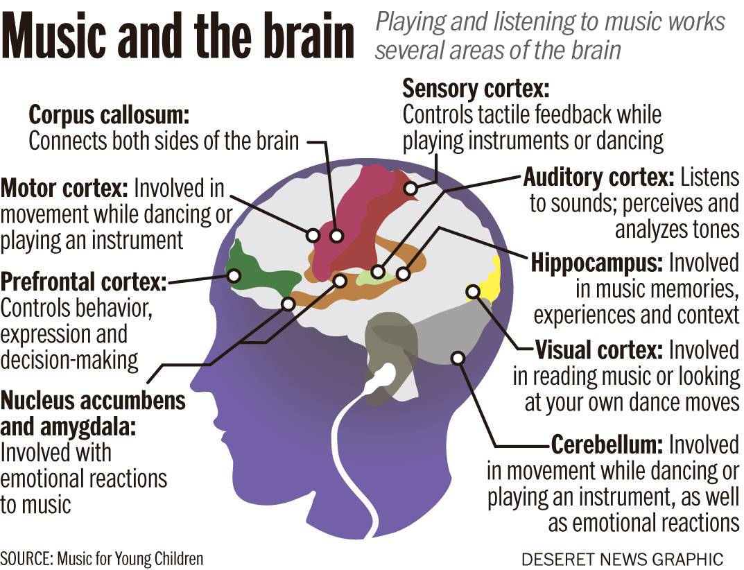 music and the brain flyer